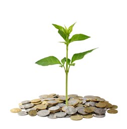 Balancing Fortune & Fulfillment: My Business Story